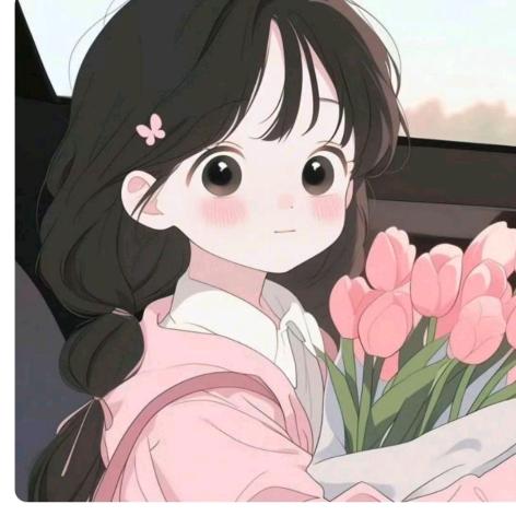 解凤夙