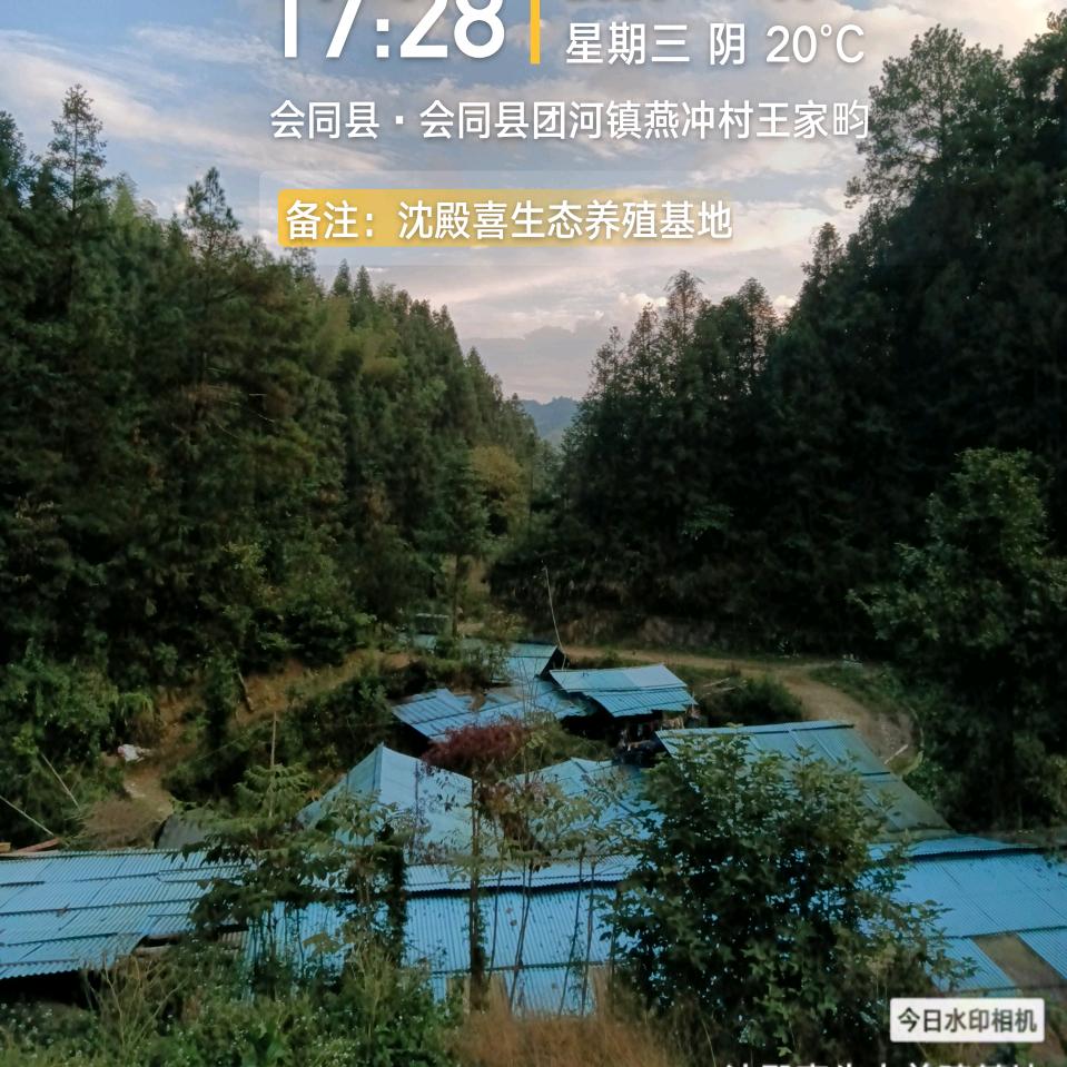 沈殿喜（生态养猪 健康你我）