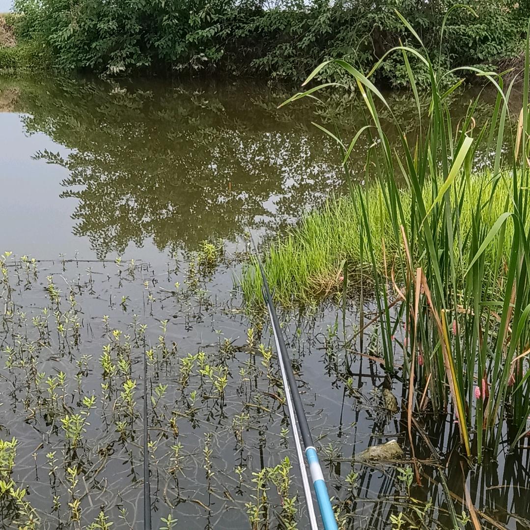 ѵℯღ᭄ѵℯღ᭄涅槃重生꫞꧂