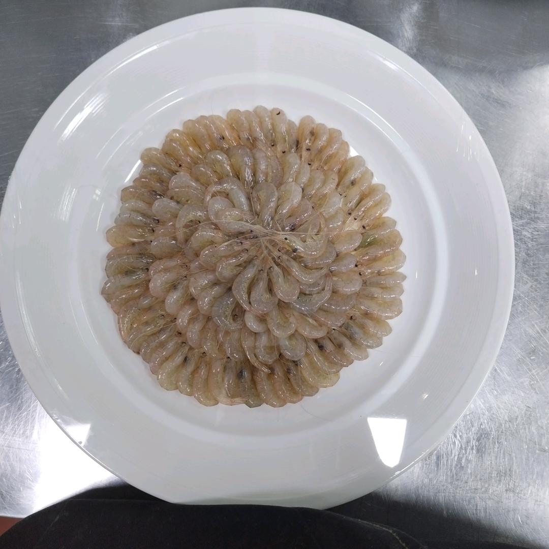 森林🐯🐯之虎