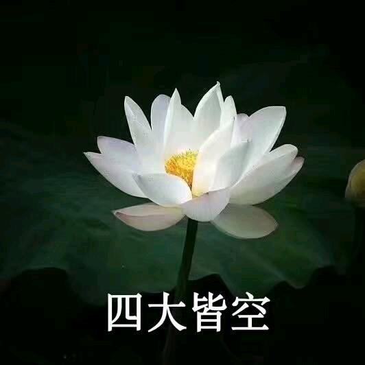 树木丛生