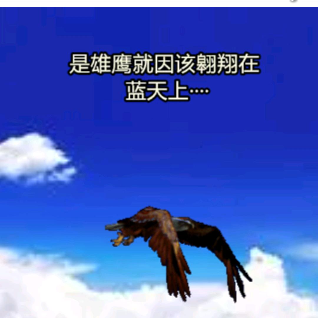 用户6938686402660