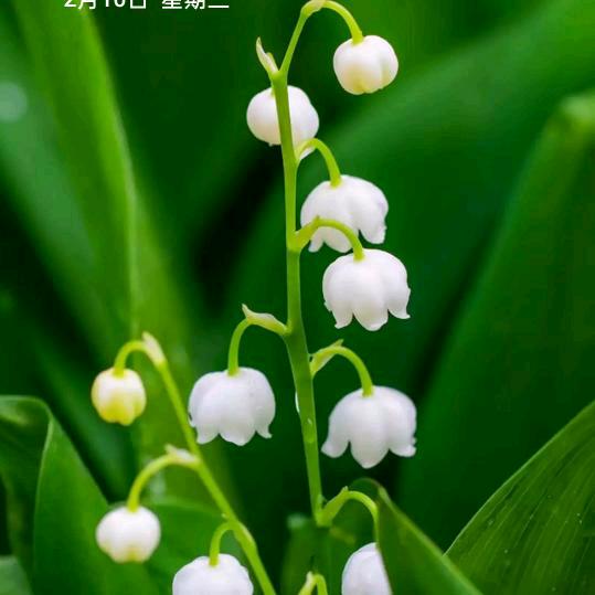 阳光