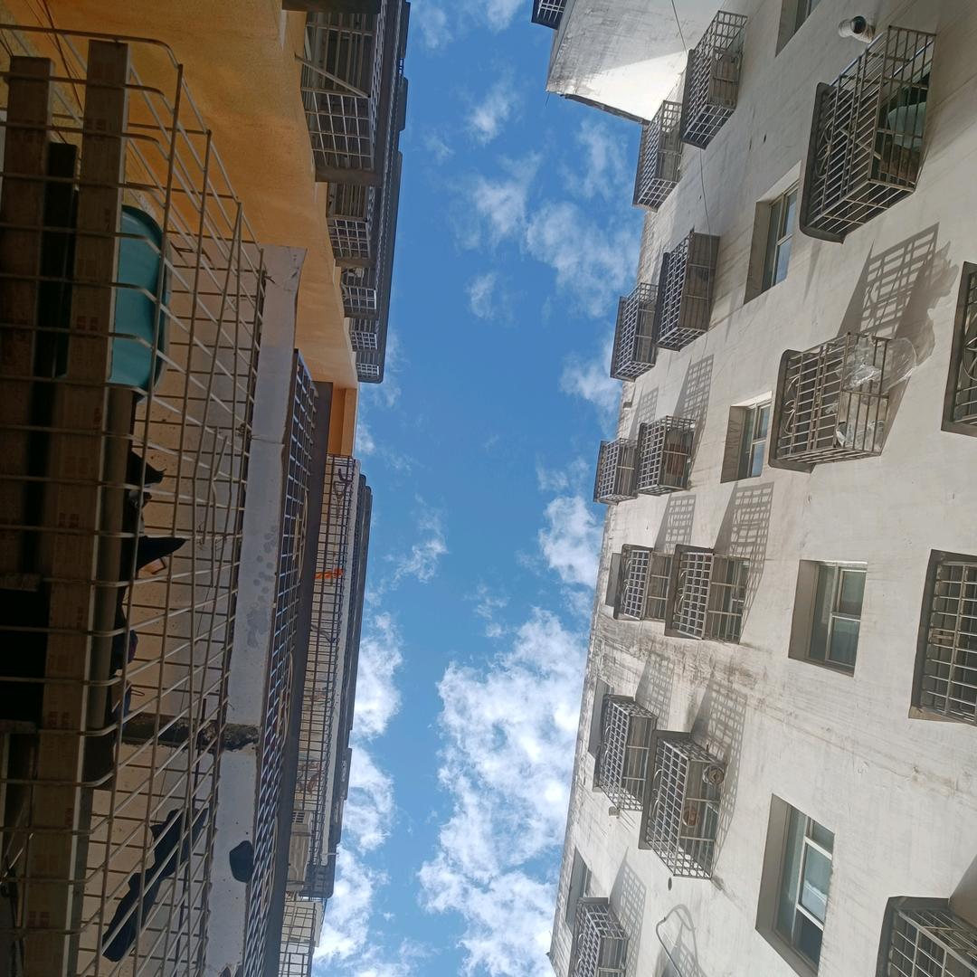 想挨打