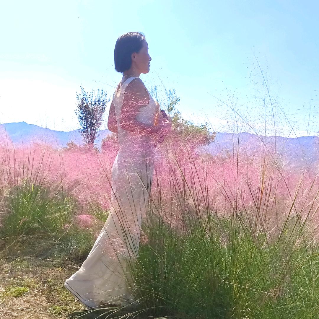 小梅花