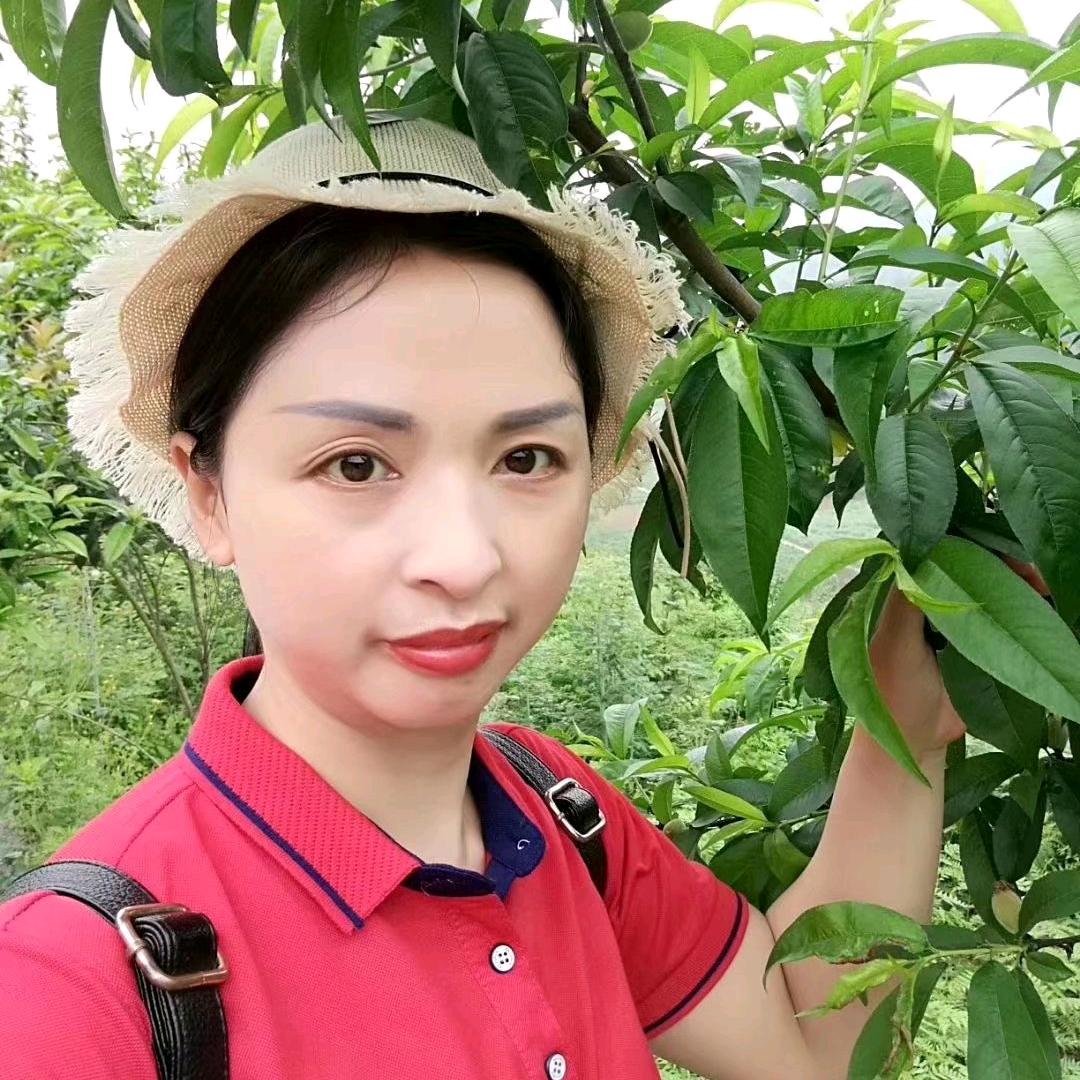 彩琼家政
