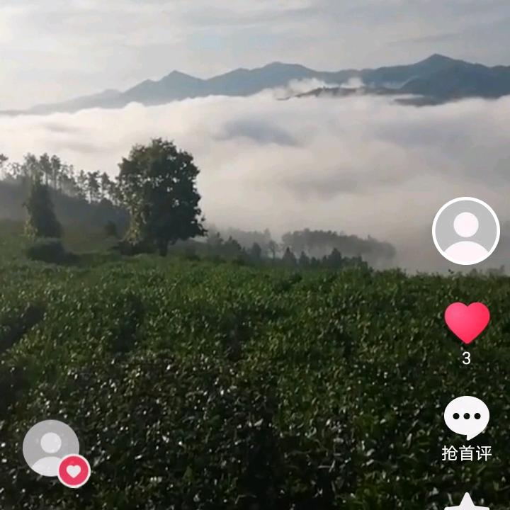 天天顺顺