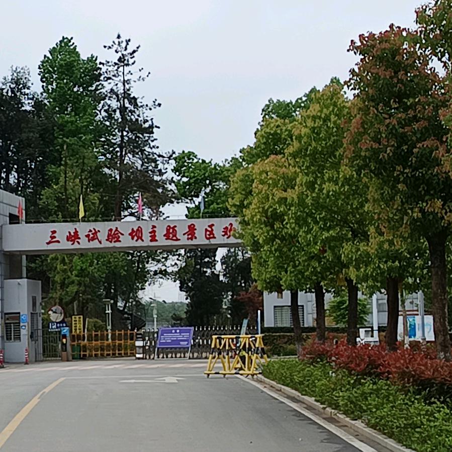 🎉行走的荷尔蒙