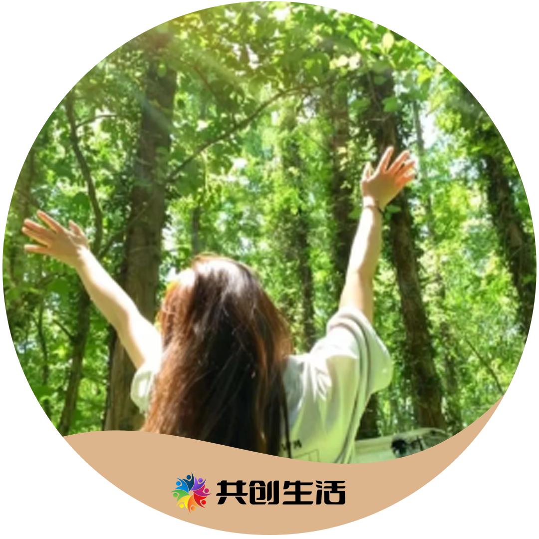 树拍田姐
