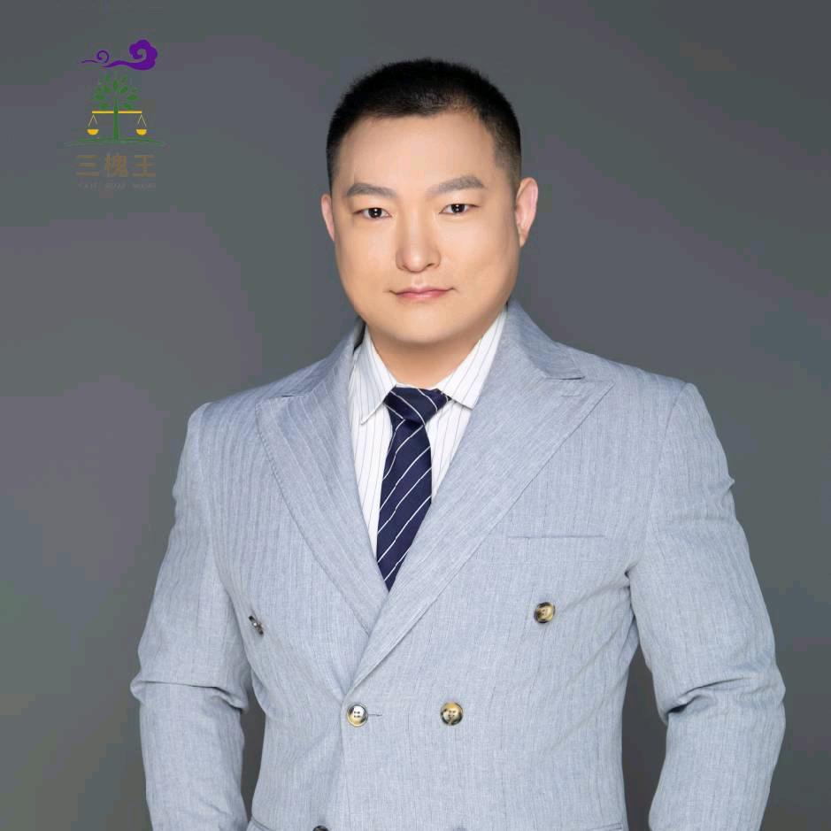 法正