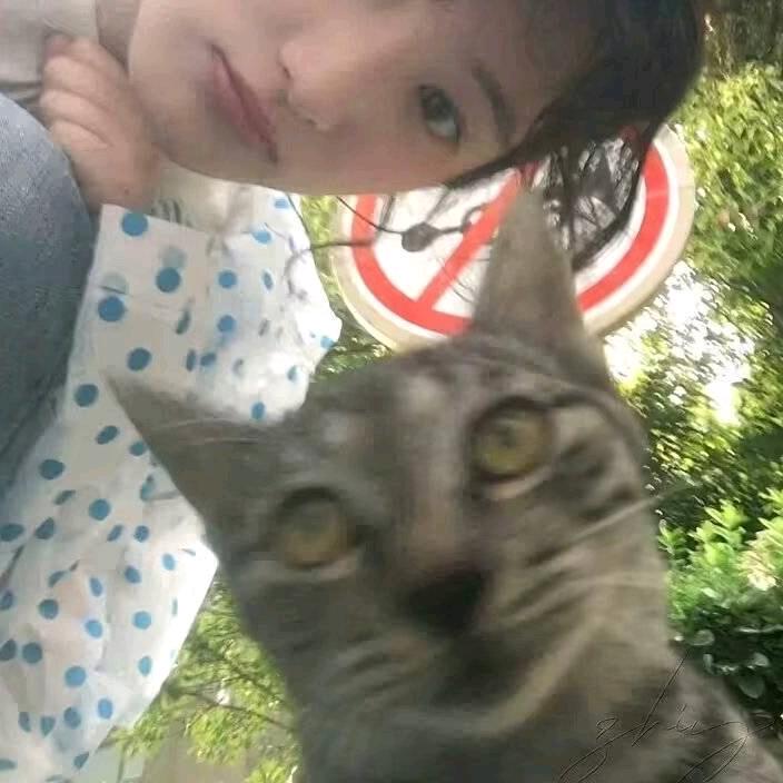 早春莳