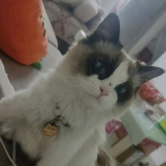 奶瓶