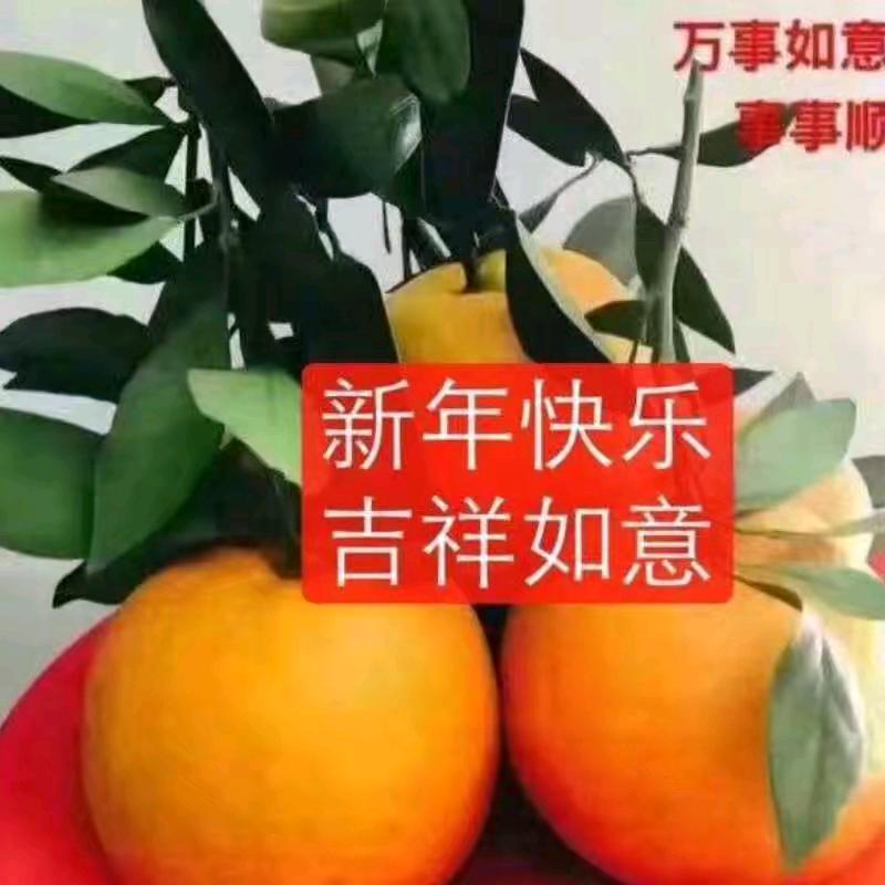 🌹幸🌹福🌹人🌹生🌹