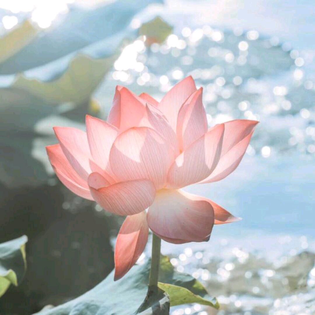 Potato🧚🏿‍♀️