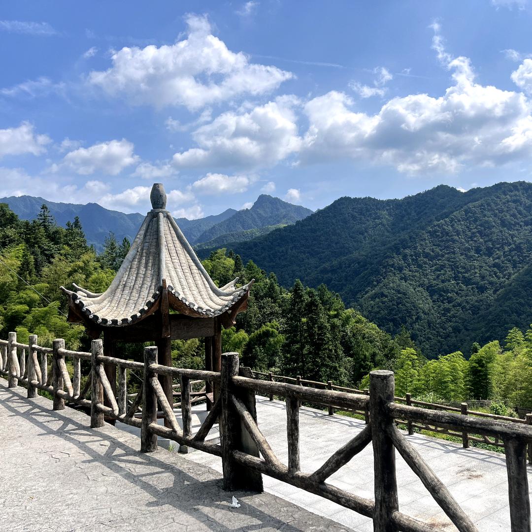 对对对