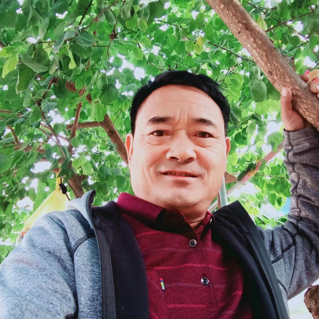 快乐河南