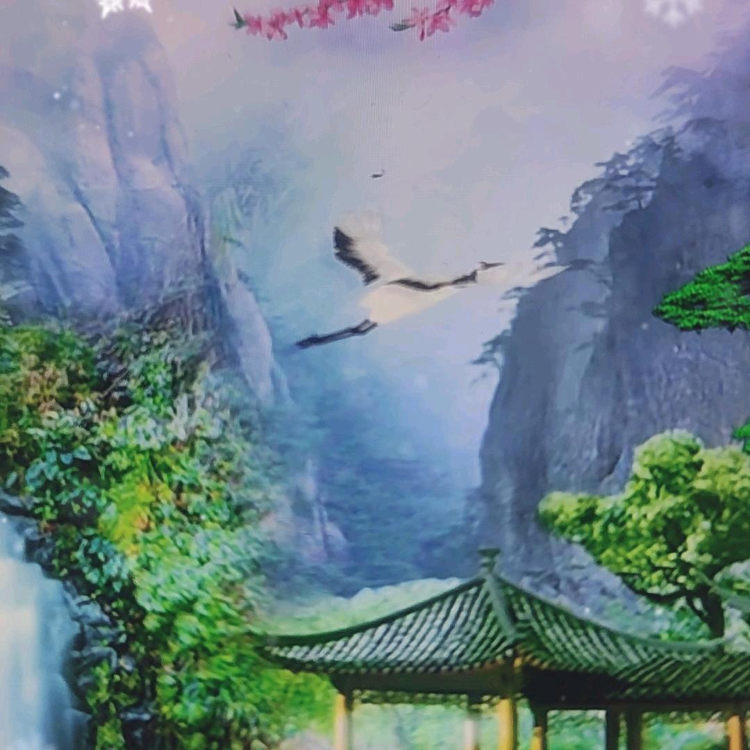 寒江雪🌻