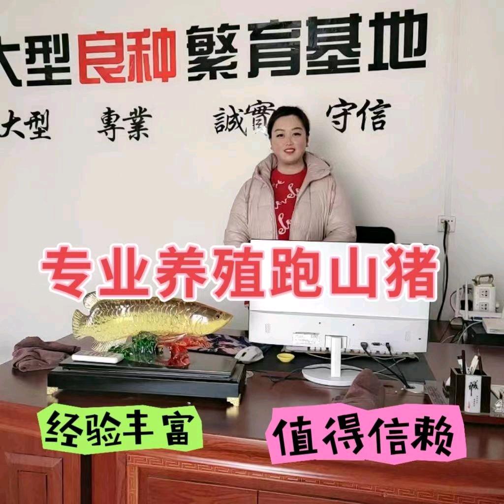 段姐野猪养殖基地