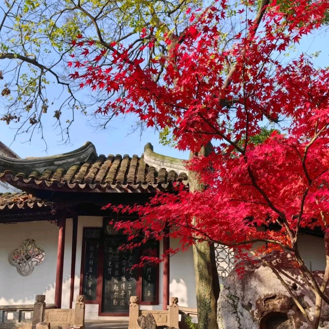 珊瑚