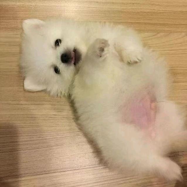 八里蔚蓝