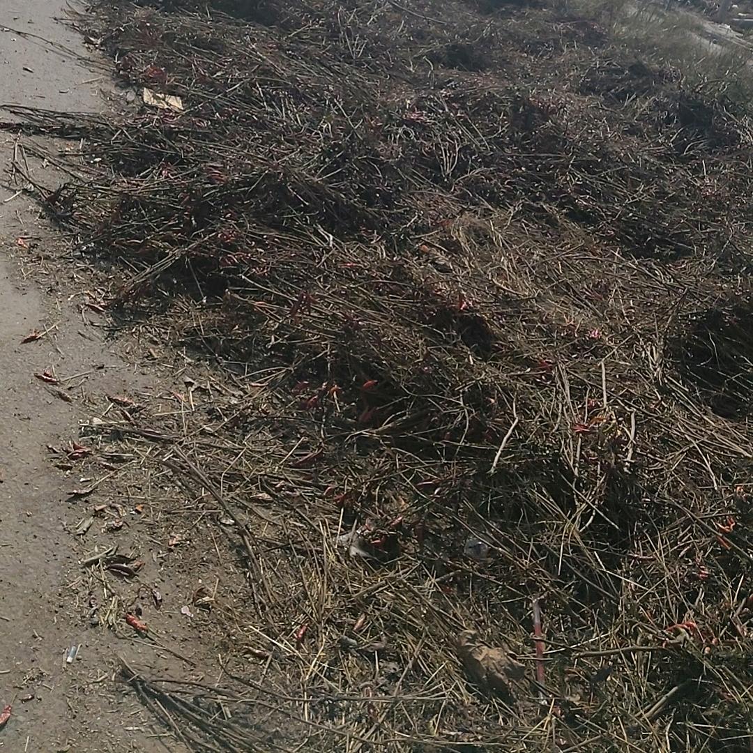 此号已注销