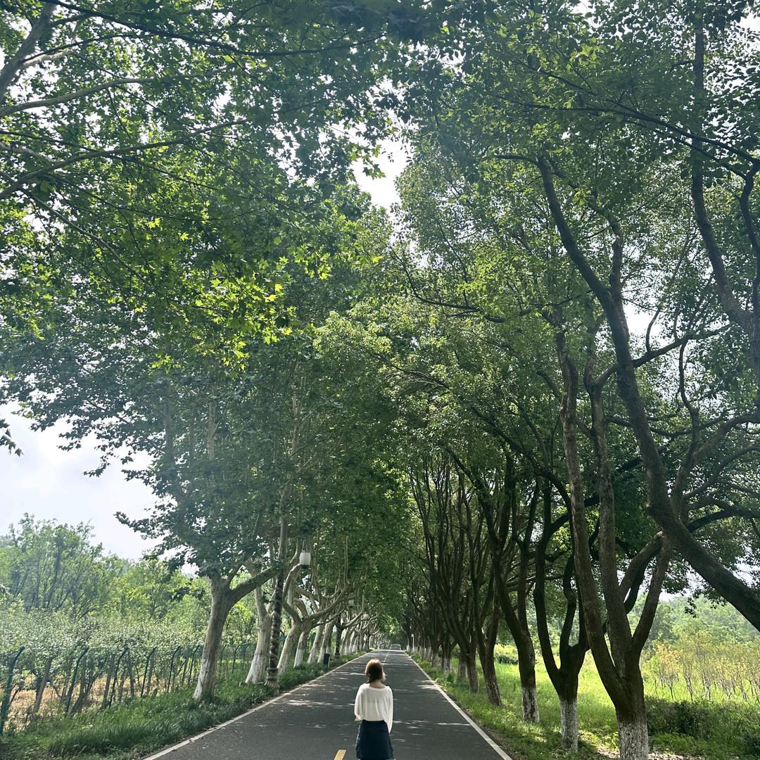摆烂小yu