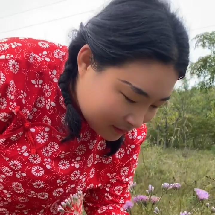 胖燕