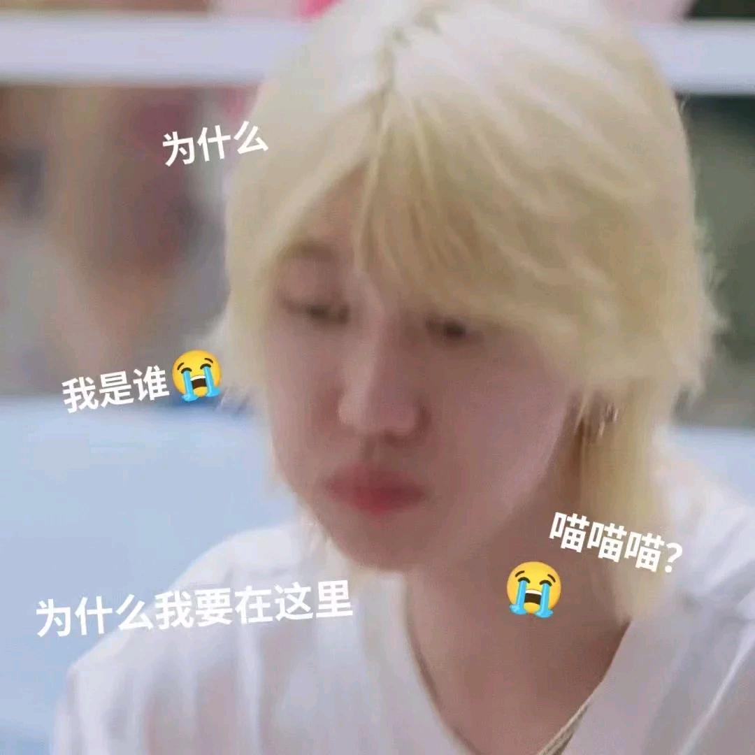 咖啡是牛马的救命稻草和便秘的解药🌠