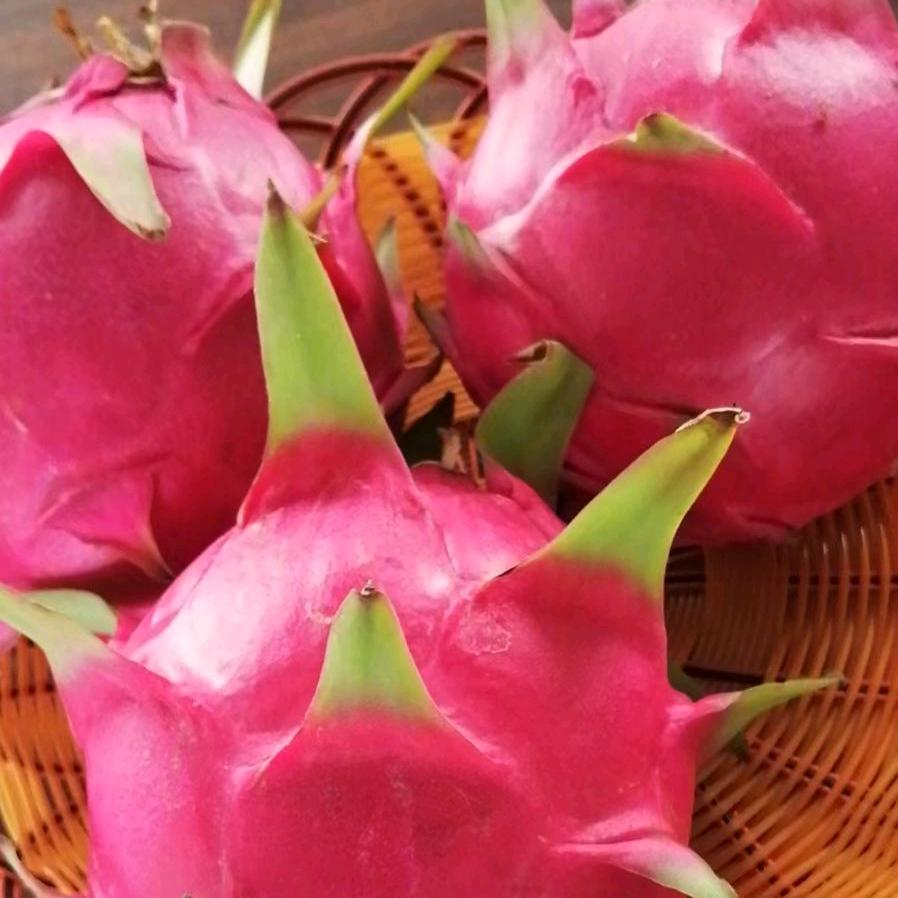 从此封❤️不再爱