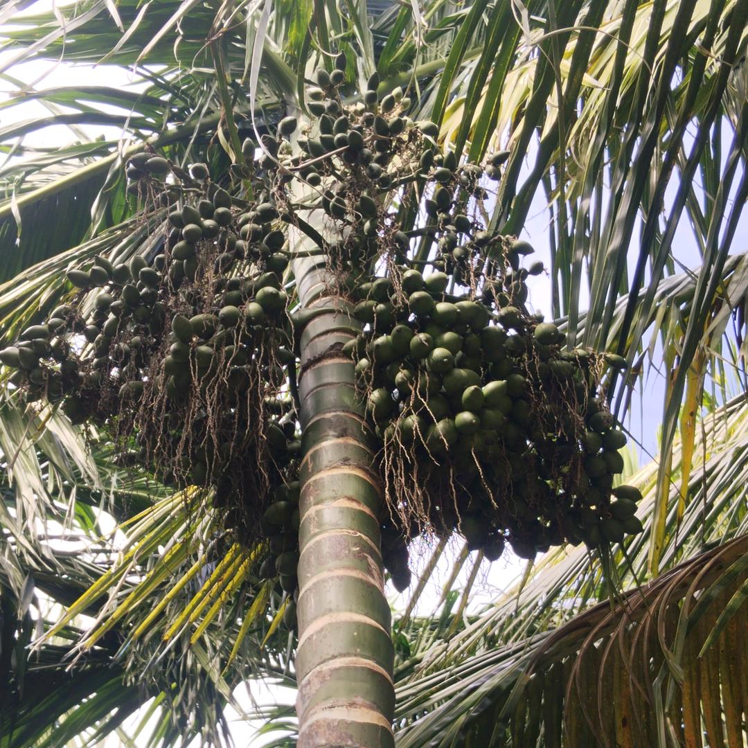 喜欢台球