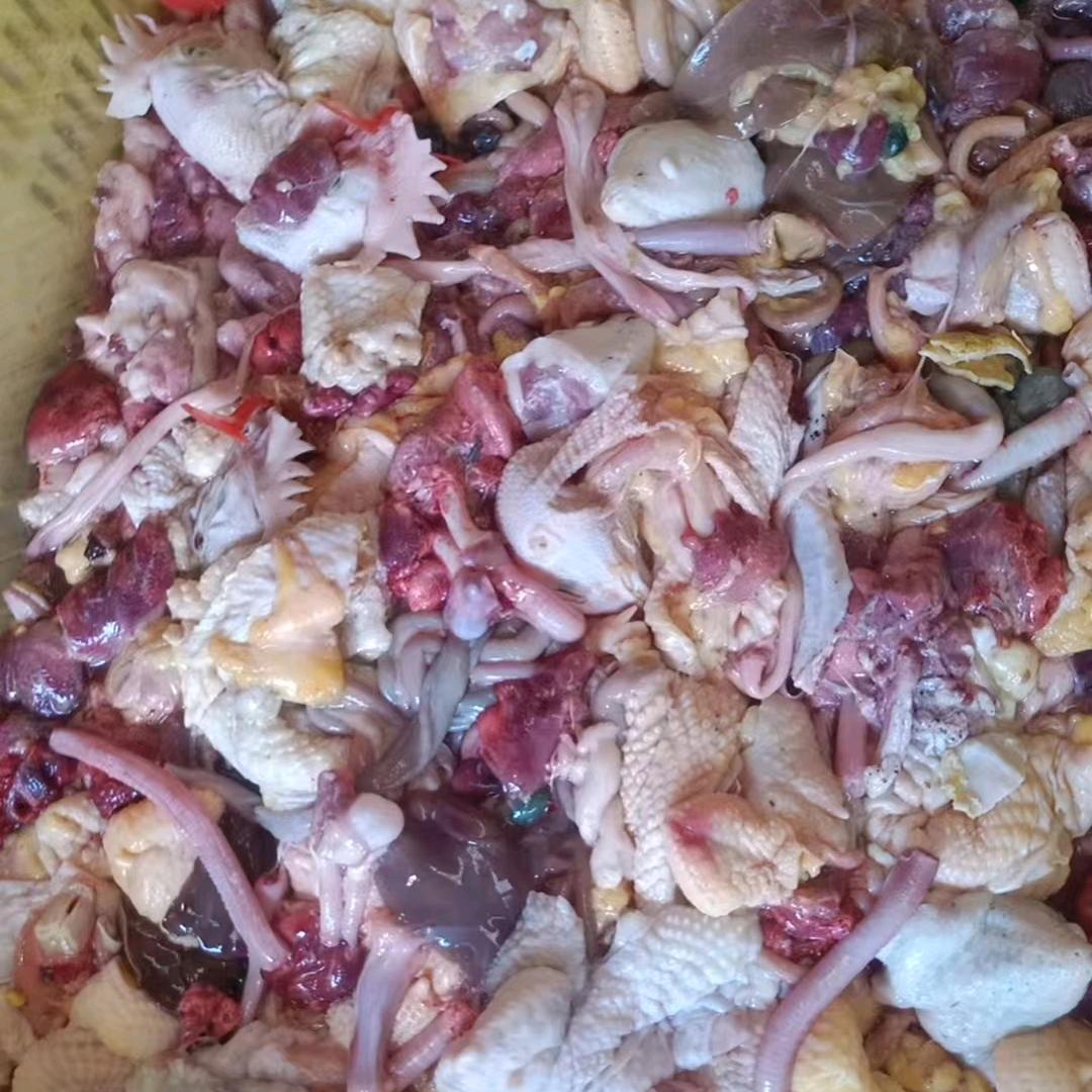 收购鸡鸭屁股油皮脖子碎肉残鸡鸭我们炼油厂