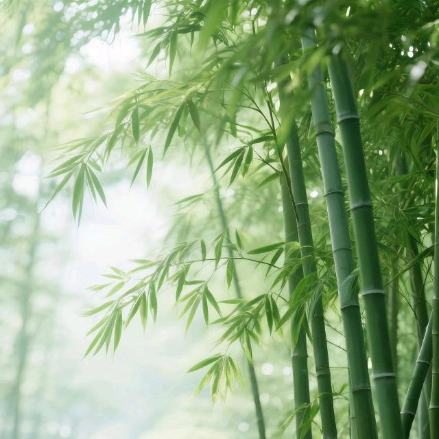 董
