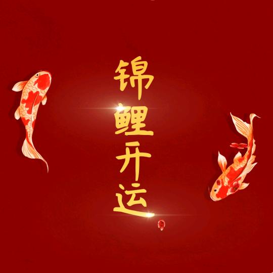 🪂隨風不羈💫💥