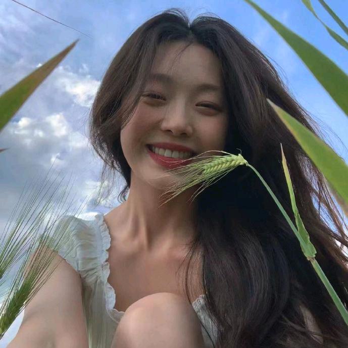 苔苔