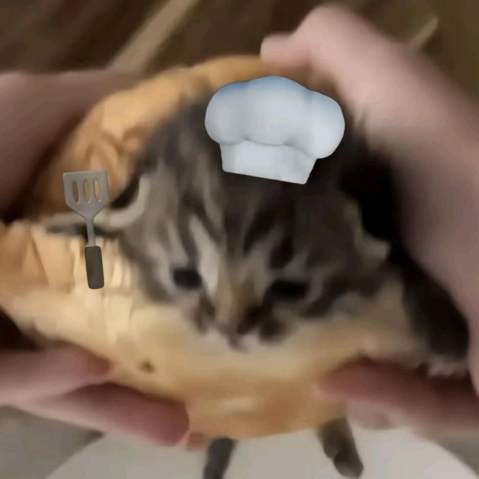 栗子爱吃辣子鸡