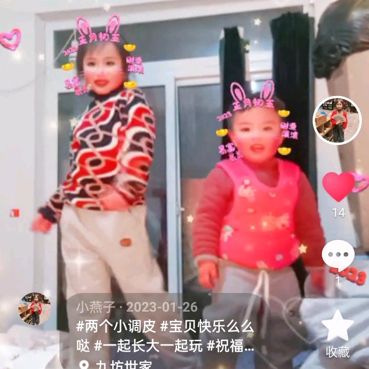 小燕子
