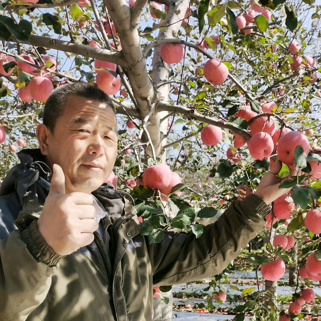 春平果业红果悦香园