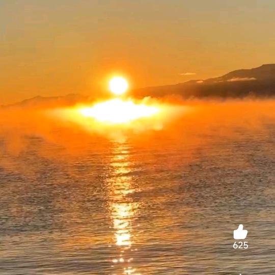 卤味熟食(教学)