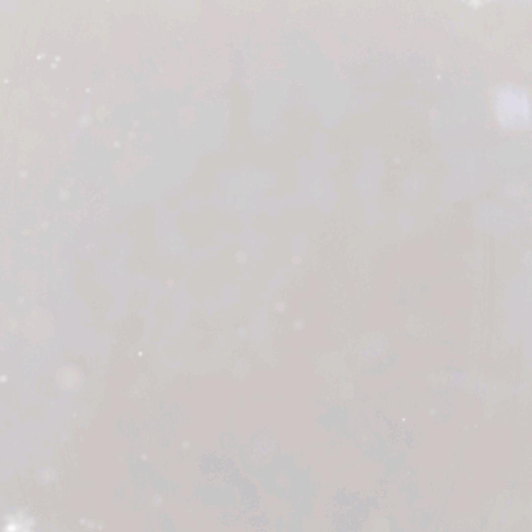 珍惜每一天