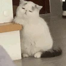 6661