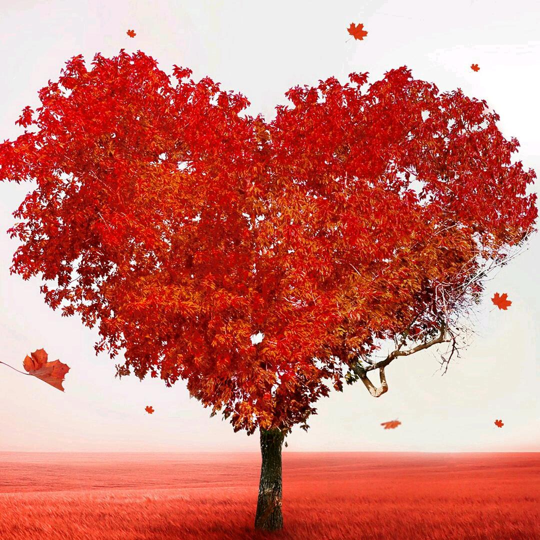 越努力ヾ越幸运