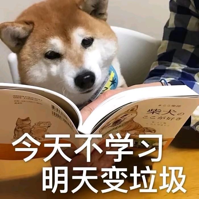 快乐日常