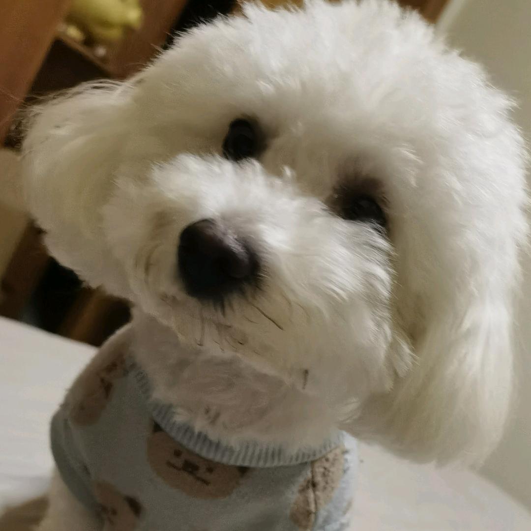 楽楽Q