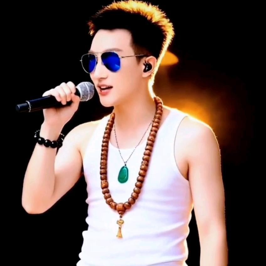 (😎星语星愿🎙️😎)