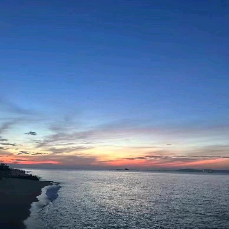 逆流而上的鱼1