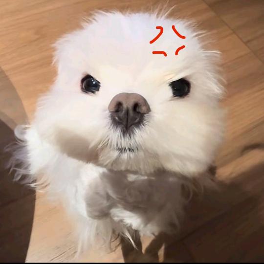 精致天花板🫤