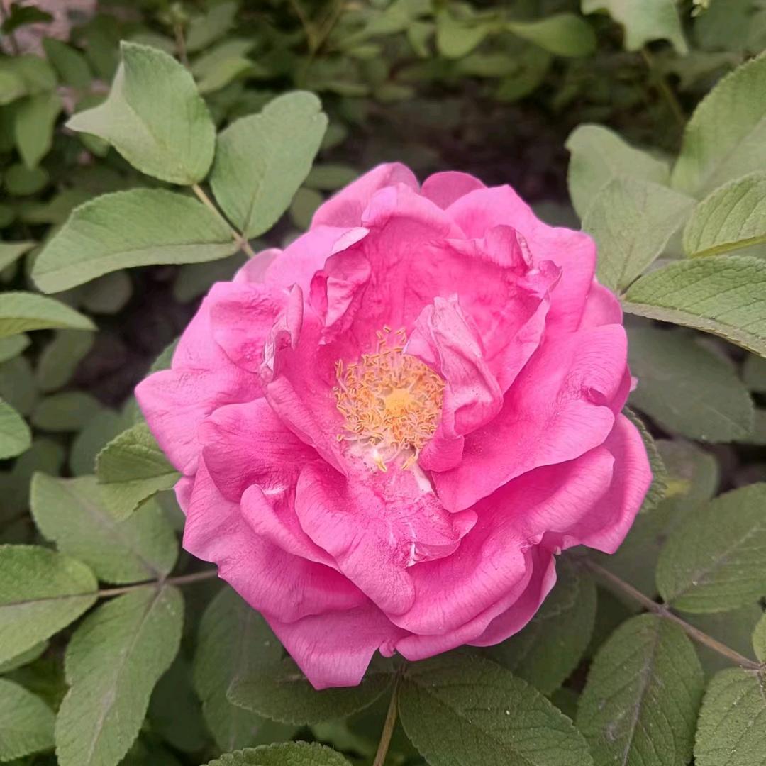 与往事干杯单身小姐姐