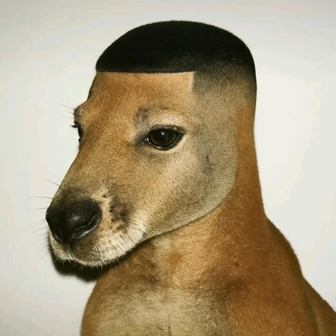 小刘歪吃的💪🏻