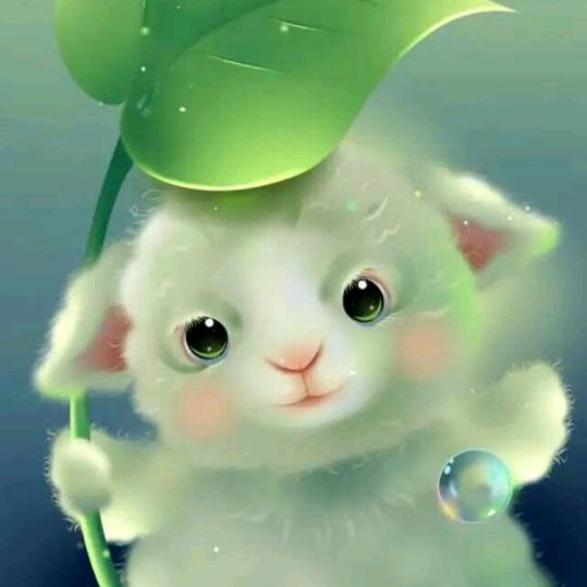 淡雅宁静
