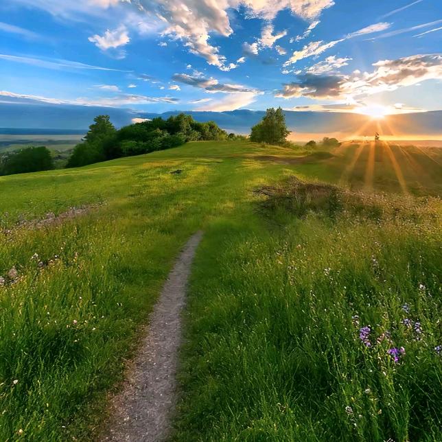 奕莘霖好物优选